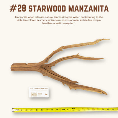 Starwood Manzanita | WYSIWYG Pieces
