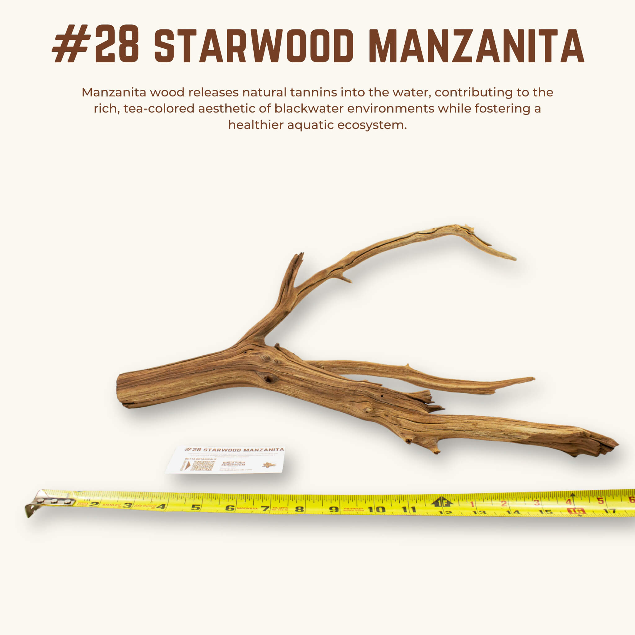 Starwood Manzanita | WYSIWYG Pieces