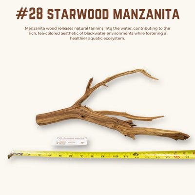 Starwood Manzanita | WYSIWYG Pieces