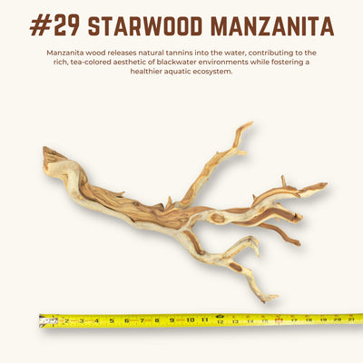 Starwood Manzanita | WYSIWYG Pieces