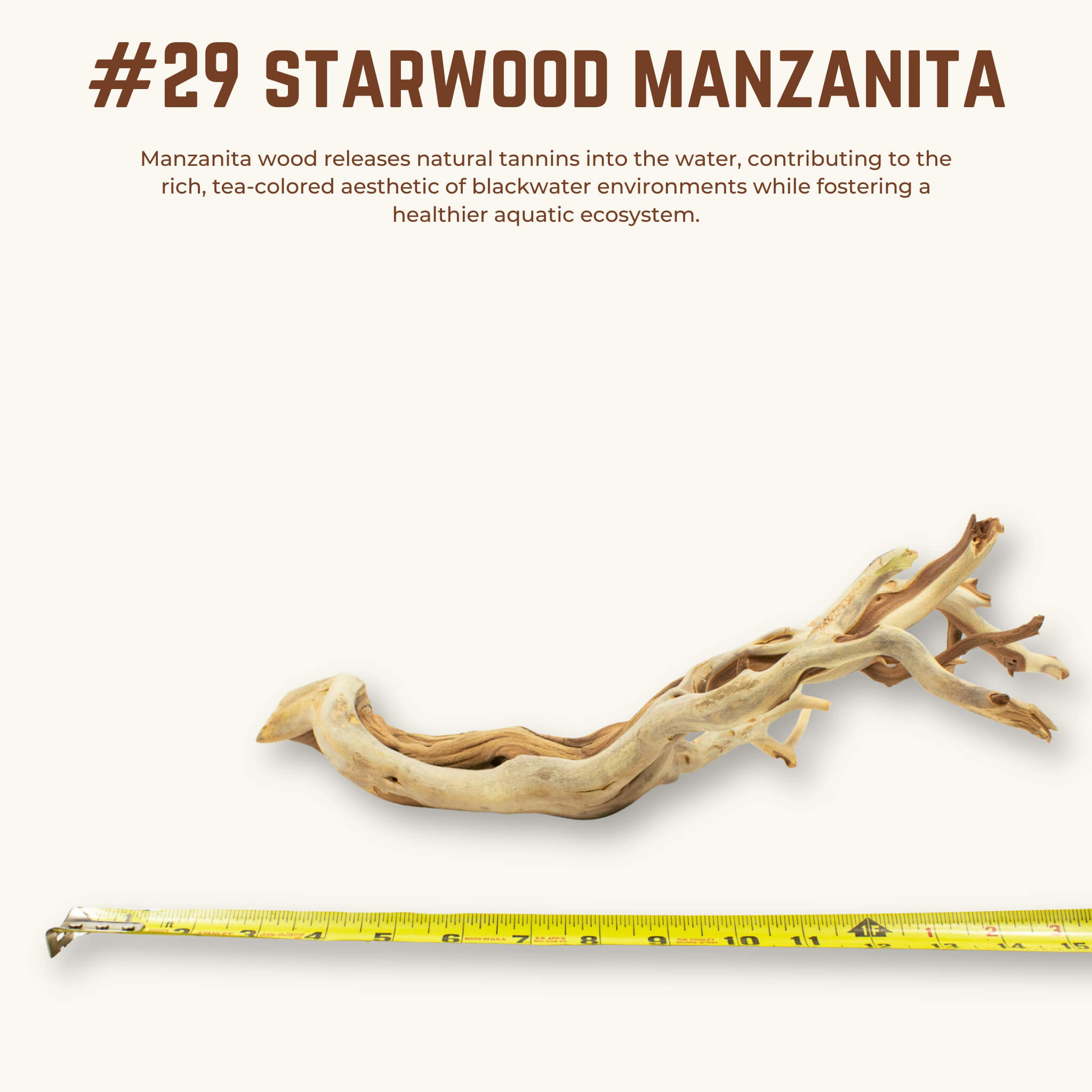 Starwood Manzanita | WYSIWYG Pieces