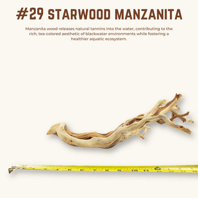 Starwood Manzanita | WYSIWYG Pieces