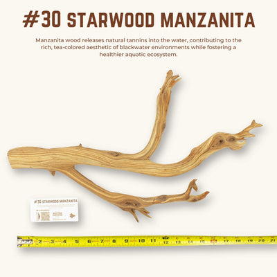 Starwood Manzanita | WYSIWYG Pieces