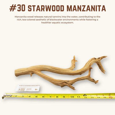 Starwood Manzanita | WYSIWYG Pieces