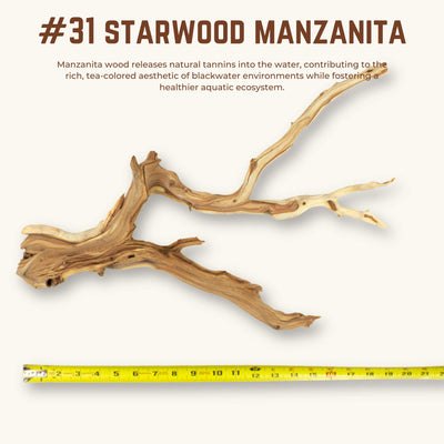 Starwood Manzanita | WYSIWYG Pieces