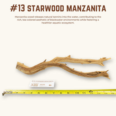 Starwood Manzanita | WYSIWYG Pieces