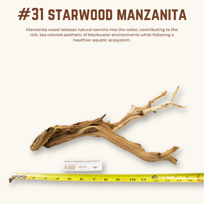 Starwood Manzanita | WYSIWYG Pieces