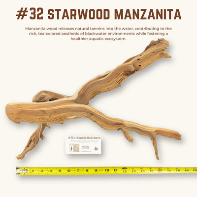 Starwood Manzanita | WYSIWYG Pieces