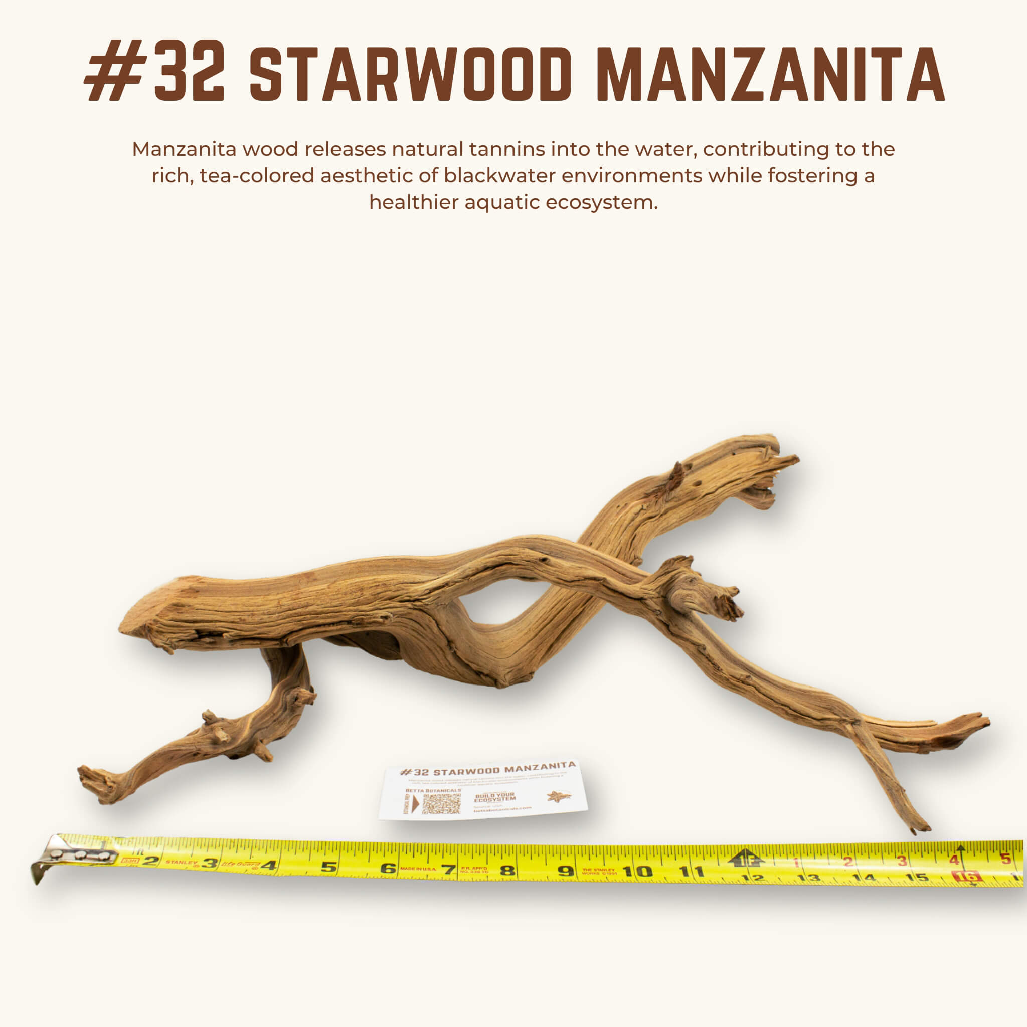 Starwood Manzanita | WYSIWYG Pieces