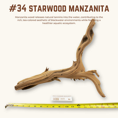 Starwood Manzanita | WYSIWYG Pieces