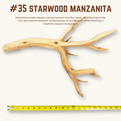 Starwood Manzanita | WYSIWYG Pieces