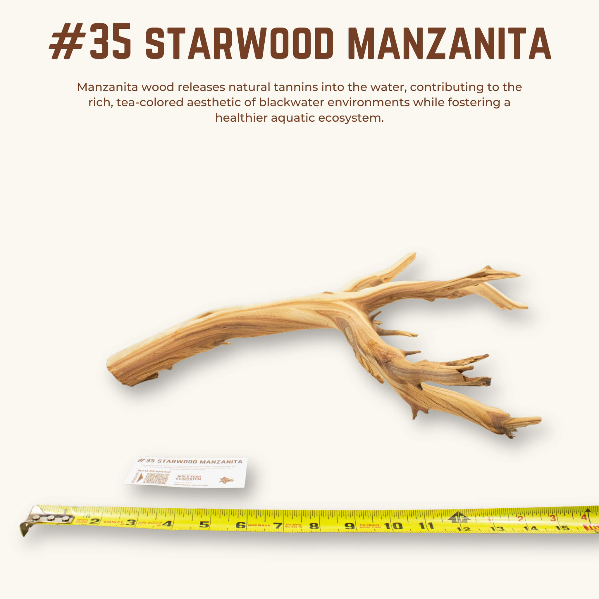 Starwood Manzanita | WYSIWYG Pieces