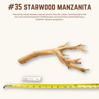 Starwood Manzanita | WYSIWYG Pieces