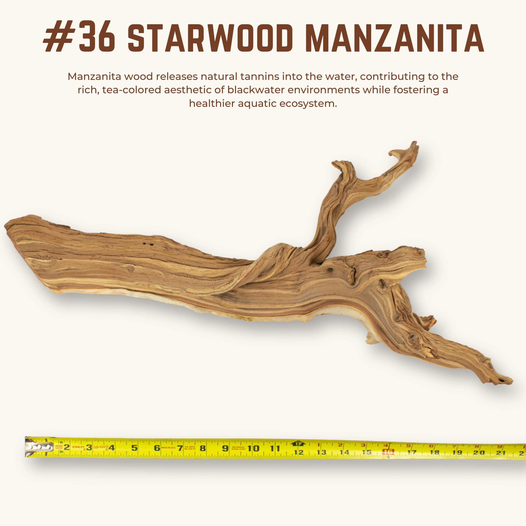 Starwood Manzanita | WYSIWYG Pieces