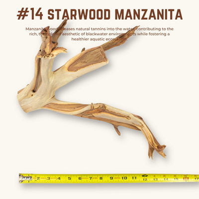 Starwood Manzanita | WYSIWYG Pieces