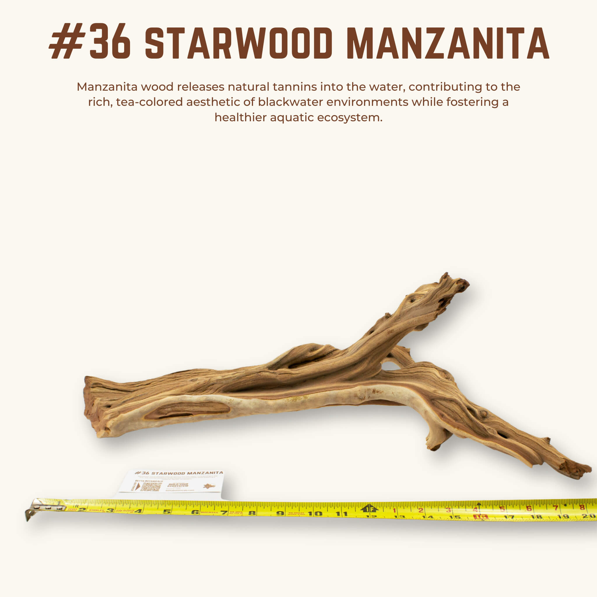 Starwood Manzanita | WYSIWYG Pieces