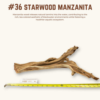 Starwood Manzanita | WYSIWYG Pieces