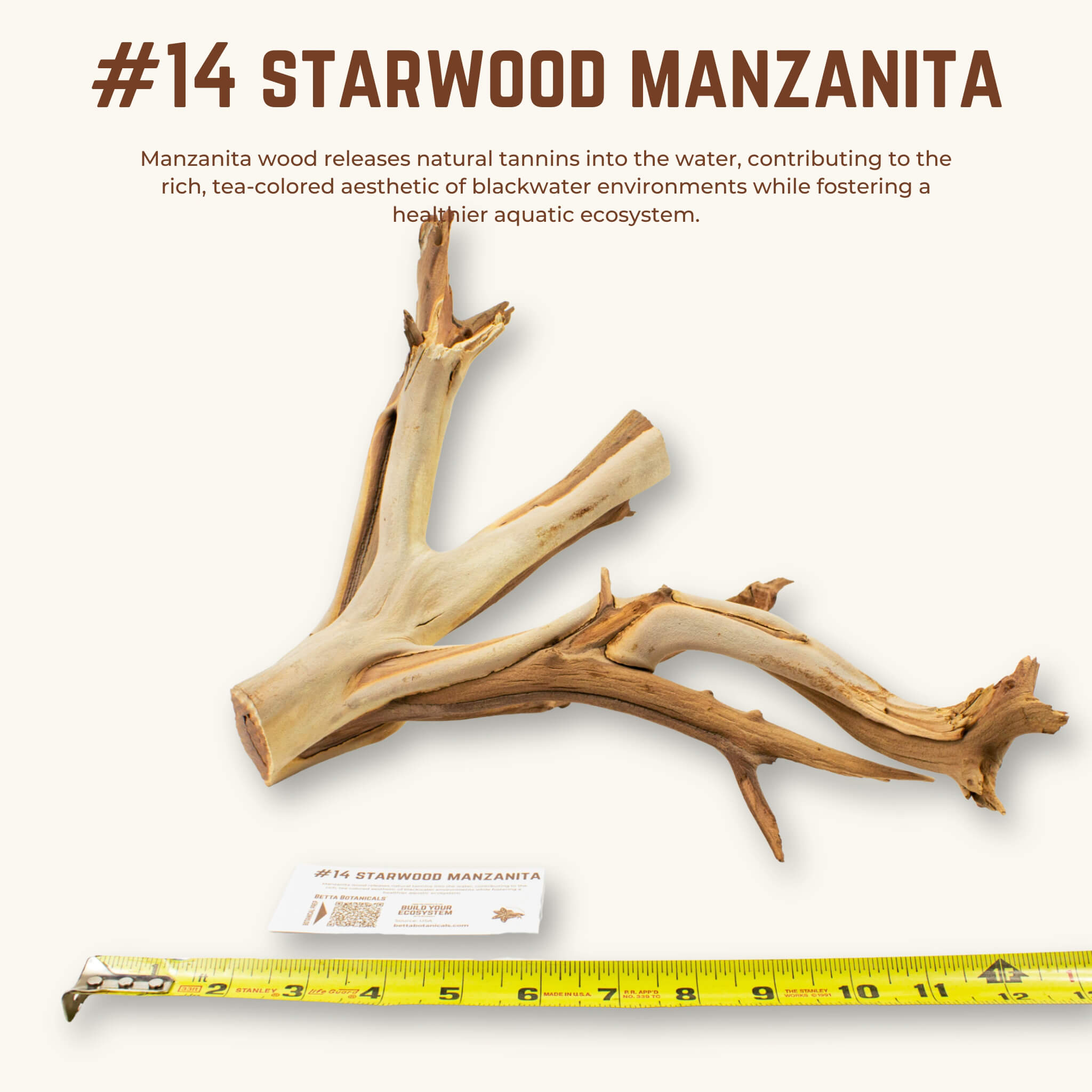 Starwood Manzanita | WYSIWYG Pieces
