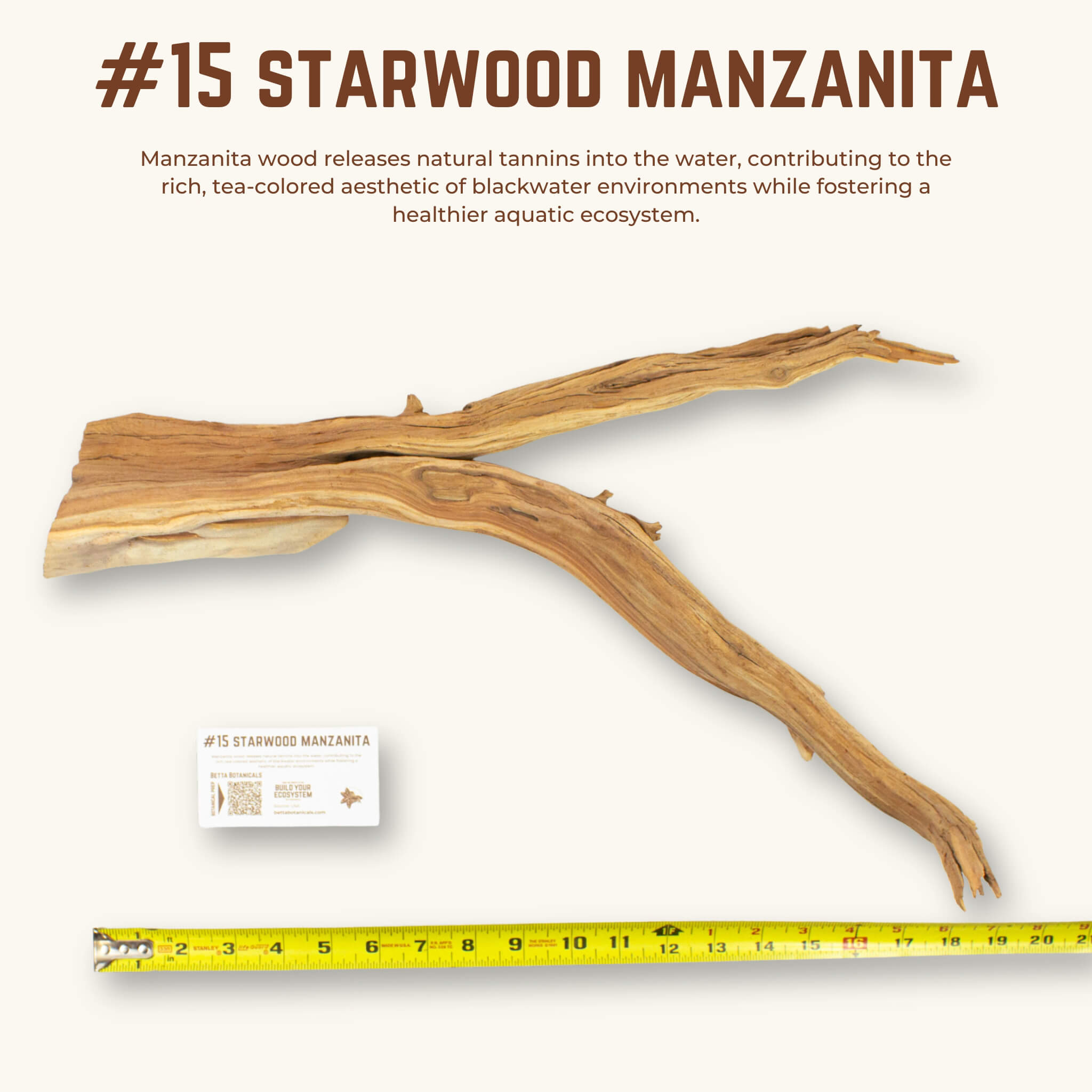 Starwood Manzanita | WYSIWYG Pieces
