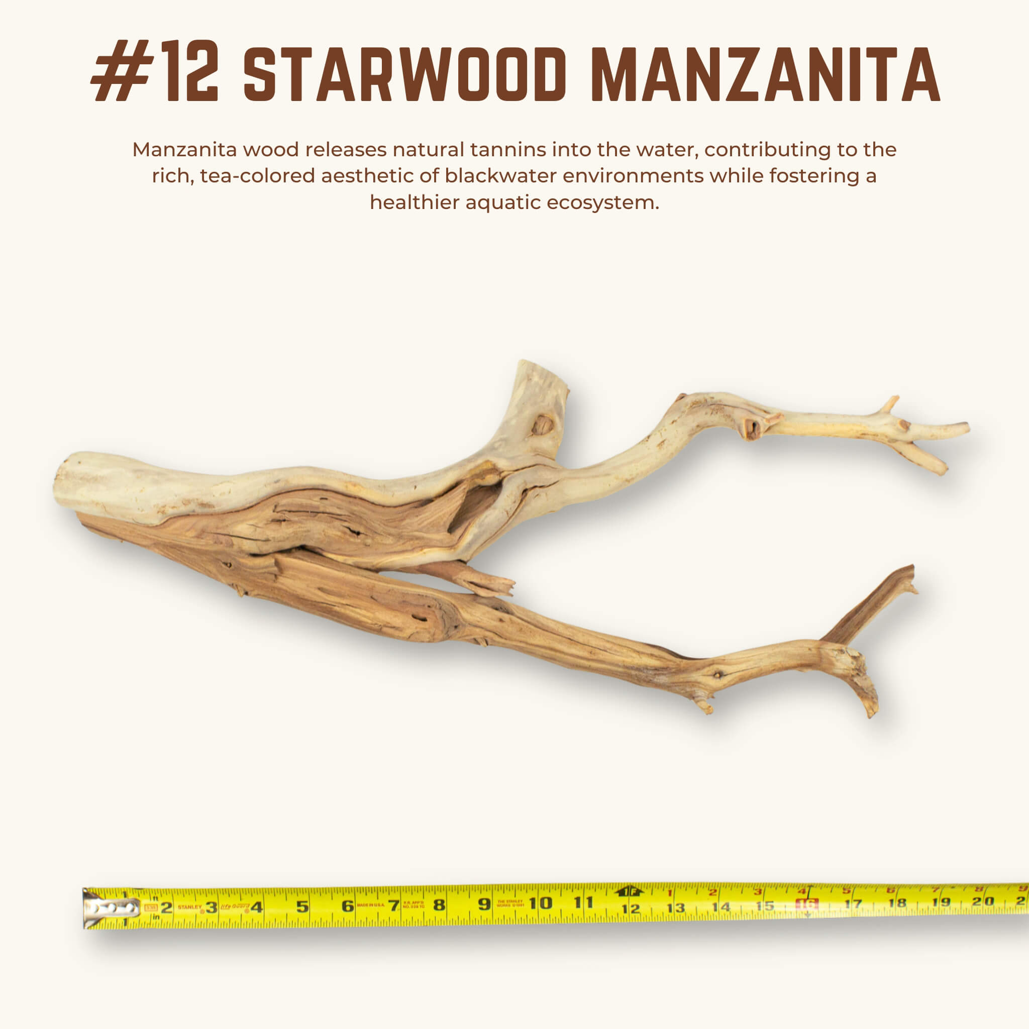 Starwood Manzanita | WYSIWYG Pieces