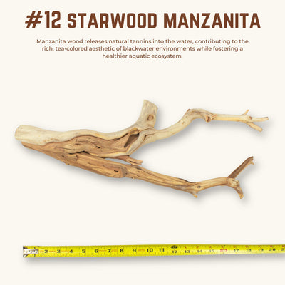 Starwood Manzanita | WYSIWYG Pieces
