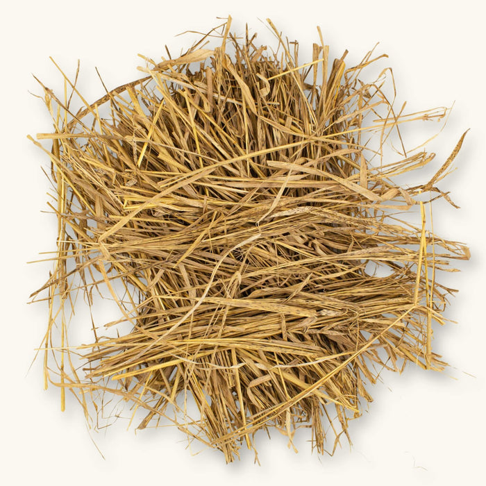 A bundle of light brown swamp grass (Carex sp.) for blackwater aquariums, photographed on a natural background at Betta Botanicals.