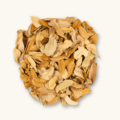 Dried Texas Live Oak Leaf Litter (Quercus fusiformis) with earthy brown tones for dart frog vivariums, photographed on a natural background at Betta Botanicals.