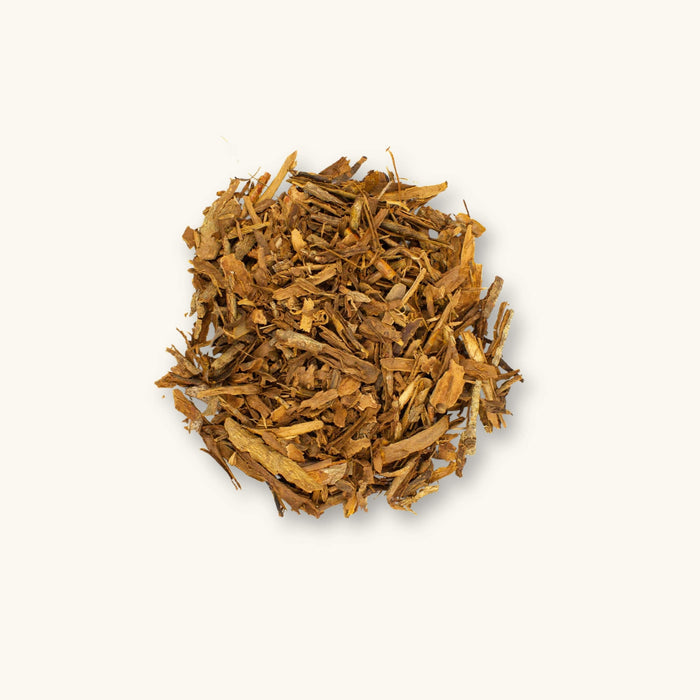 A pile of red-brown True Ceylon Cinnamon Bark (Cinnamomum verum) for shrimp tanks, photographed on a natural background at Betta Botanicals.