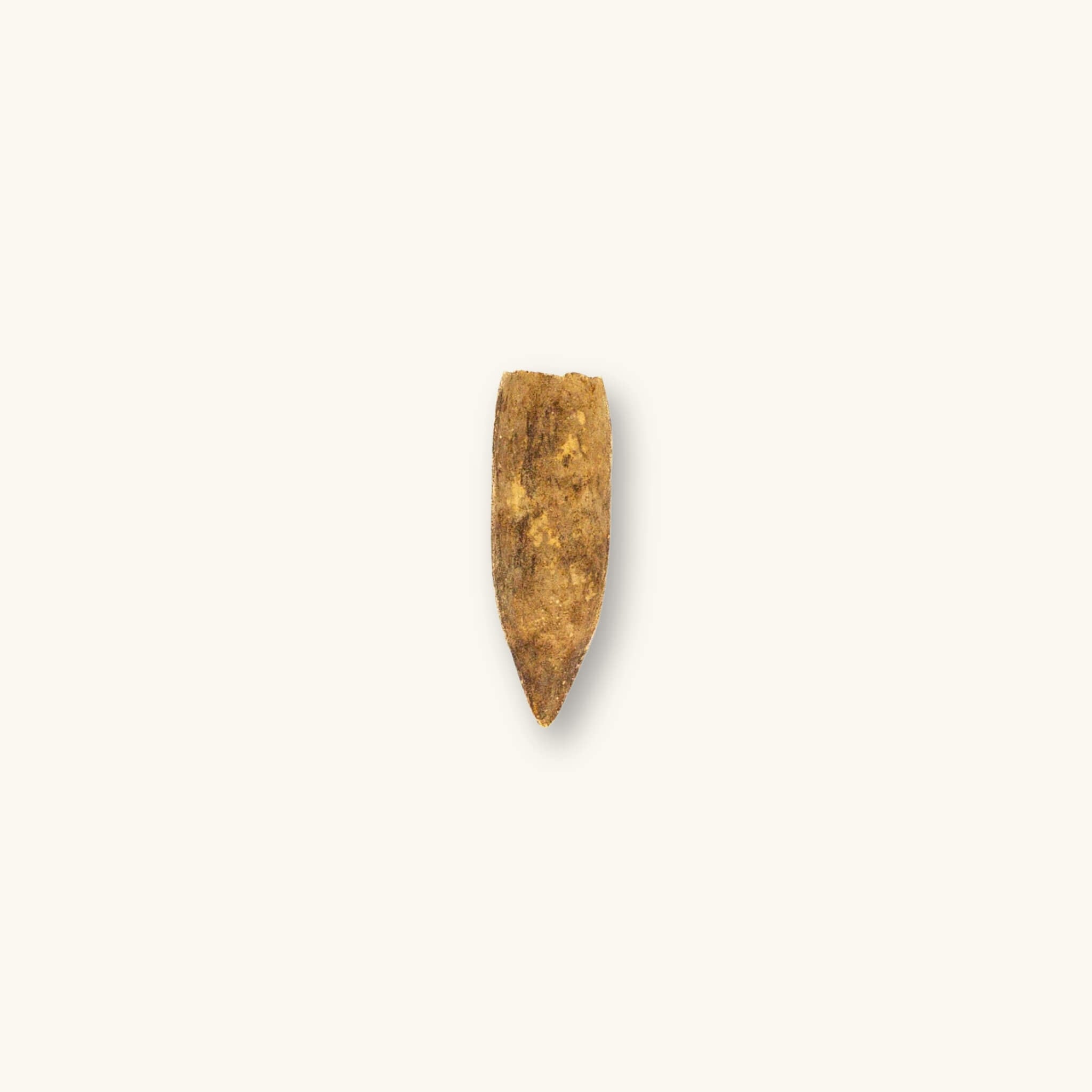 A brown Ulin pod (Eusideroxylon zwageri) for blackwater aquariums, photographed on a natural background at Betta Botanicals.