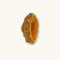 Single Urchin Pod (Zeyheria digitalis) with textured exterior, shown on a natural background for blackwater aquarium use at Betta Botanicals.