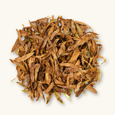 Dried Willow Live Oak leaves (Quercus phellos) in earthy brown and tan tones for vivariums, photographed on a natural background at Betta Botanicals.