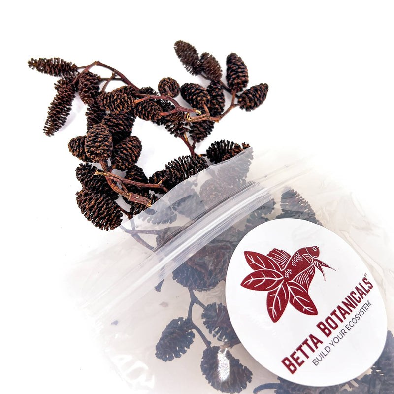 Pile of black and dark brown ribbed alder cones for aquariums in clear sustainable packaging by Betta Botanicals.