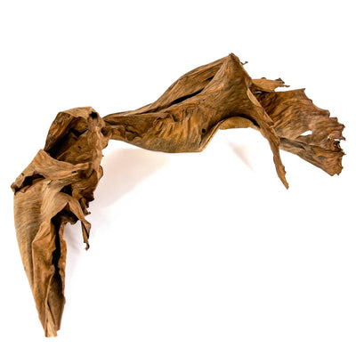 Pile of brown and crinkled banana leaves for aquariums by Betta Botanicals.