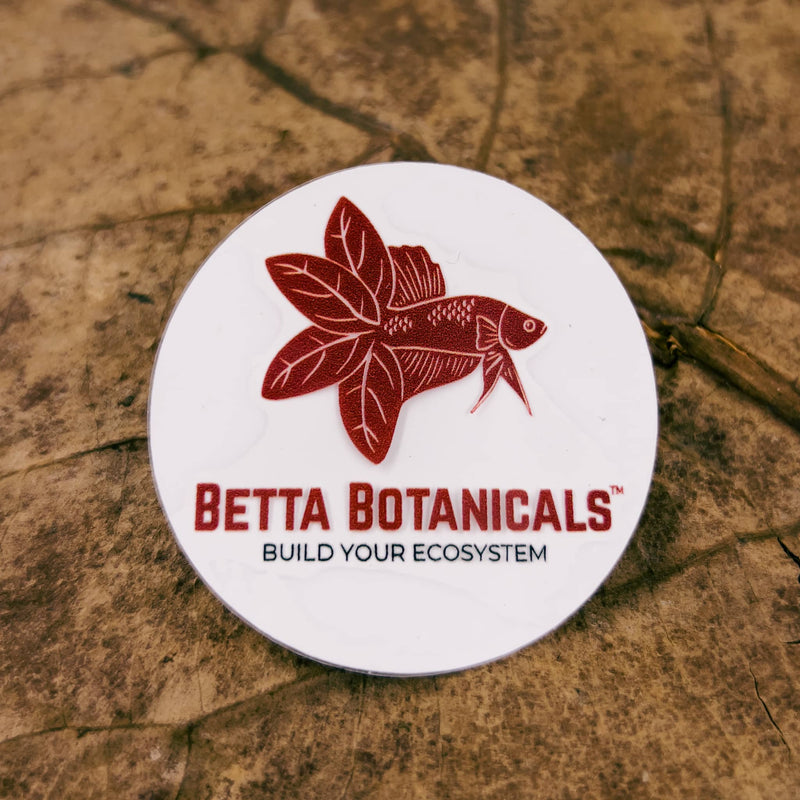 A static cling for aquariums by Betta Botanicals, for community fish tanks, botanical aquariums, and betta fish tanks.