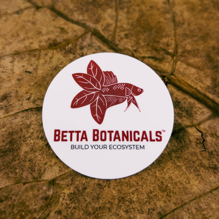 Betta Botanicals fan sticker for laptops and water bottles by Betta Botanicals, for blackwater aquariums and betta fish tanks.