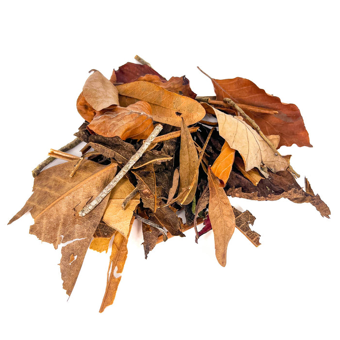 Pile of brown, tan, and crushed betta leaf litter and twigs for aquariums and terrariums by Betta Botanicals. 
