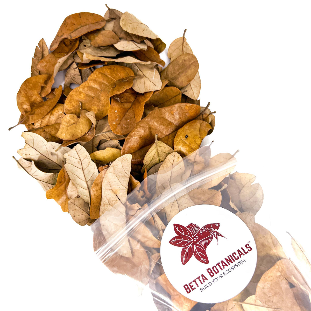 Brown and tan texas live oak leaf litter in clear sustainable packaging by Betta Botanicals, for aquariums and bioactive enclosures.