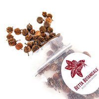 Pile of small, brown, and pointy casuarina cones for aquariums in clear sustainable packaging by Betta Botanicals.