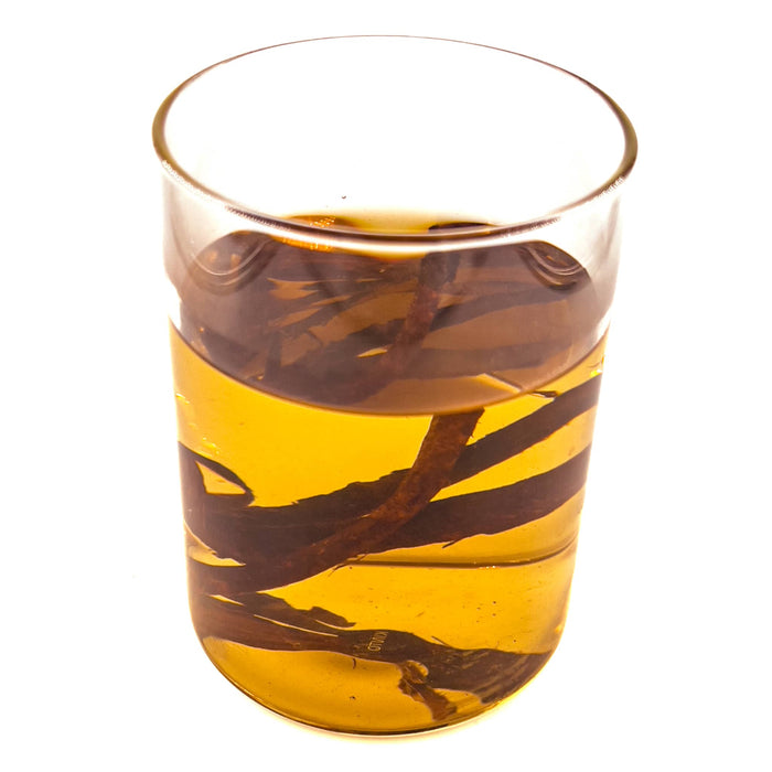 A clear glass jar of tinted aquarium water with yellow tannins from catappa tree bark and Indian almond tree bark by Betta Botanicals.