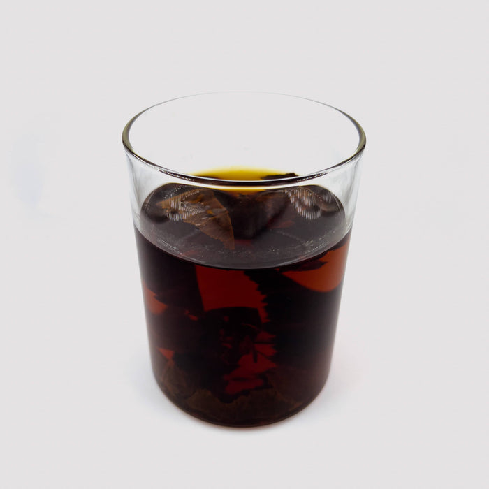 Indian Almond Leaves in a glass jar to show high tannin content by Betta Botanicals, aquarium botanicals for blackwater betta fish. 
