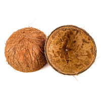 Two brown and fibrous coconut shell seed pod halfs for aquariums and terrariums by Betta Botanicals.