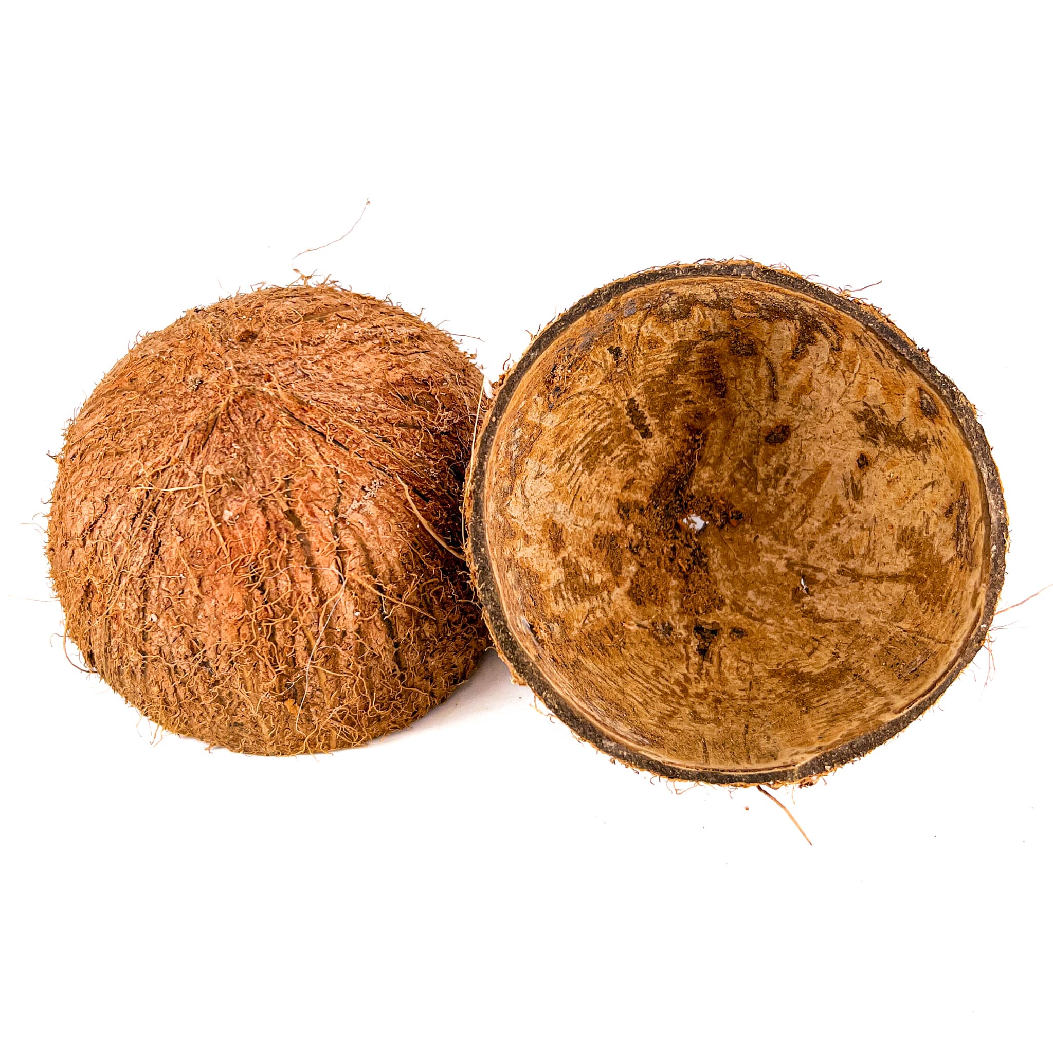 1/2 Coconut Shell