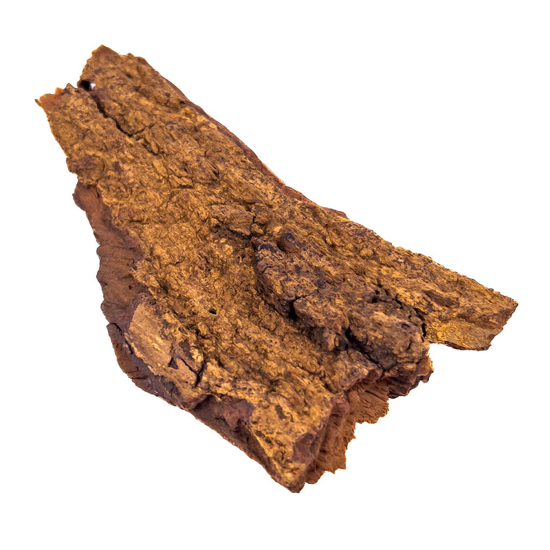 A piece of rough, brown, and amber dulce tree bark for blackwater aquariums by Betta Botanicals.
