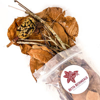 Leaf litter, twigs, and seed pods in clear sustainable packaging by Betta Botanicals.