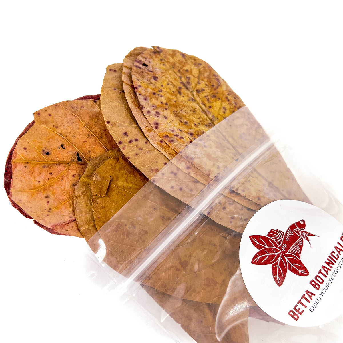 Pile of brown, amber, and speckled catappa leaves & Indian almond leaves for aquariums in clear sustainable packaging by Betta Botanicals.