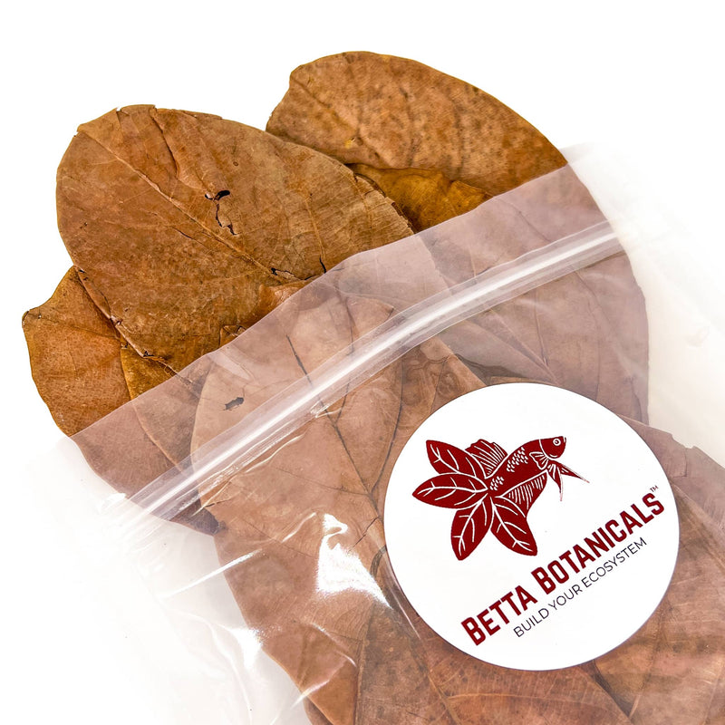 Pile of brown and tan jackfruit leaves for aquariums and terrariums in clear sustainable packaging.