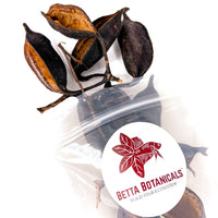 Pile of black, orange and tan kurrajong seed pods for aquariums in clear sustainable packaging by Betta Botanicals.