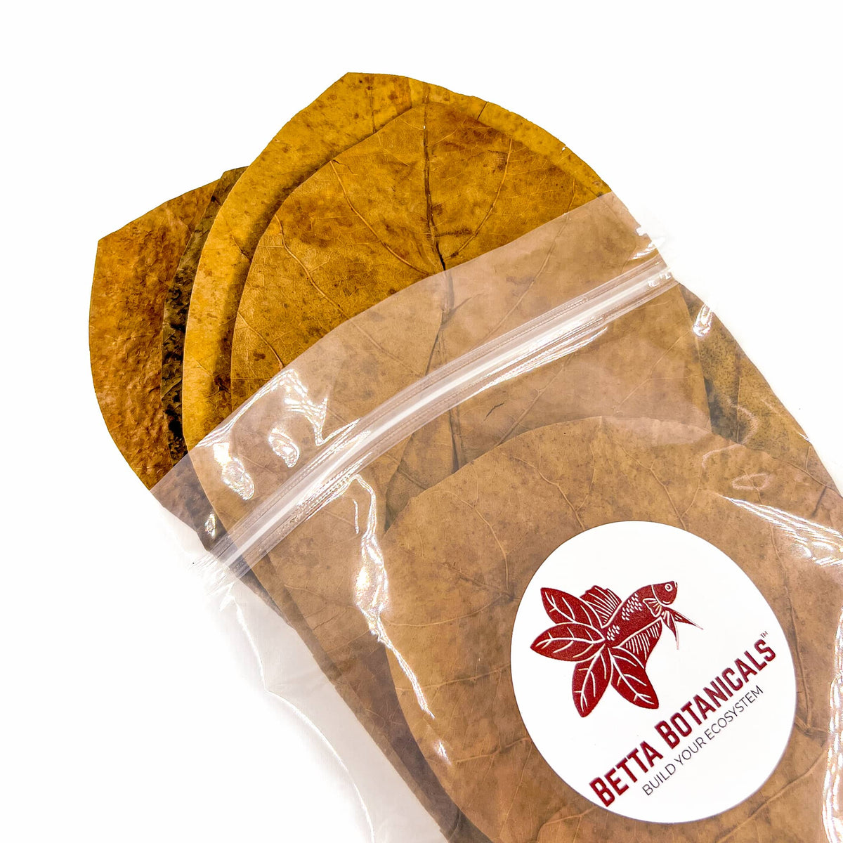 Pile of brown, tan, and flat large Indian almond leaves and catappa leaves for aquariums in clear sustainable packaging by Betta Botanicals.