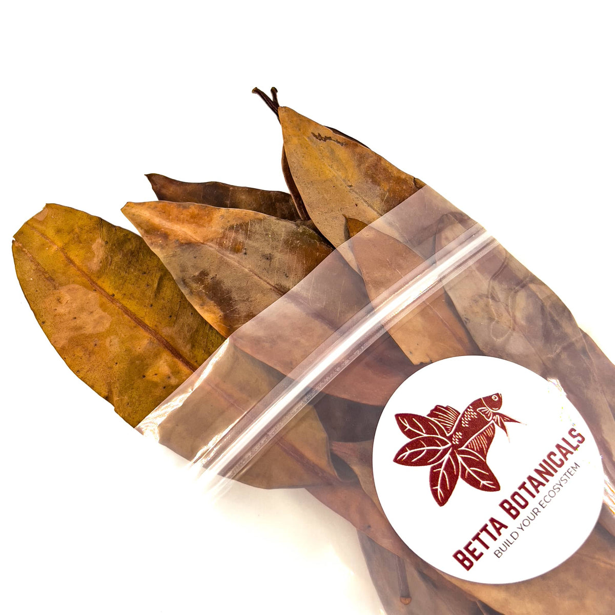 Pile of black, brown, and amber red mangrove leaves for aquariums and terrariums in clear sustainable packaging by Betta Botanicals.