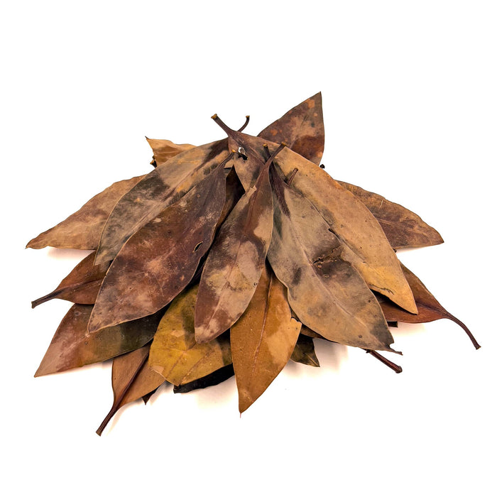 Pile of brown, black, and amber red mangrove leaves for aquariums and terrariums by Betta Botanicals.